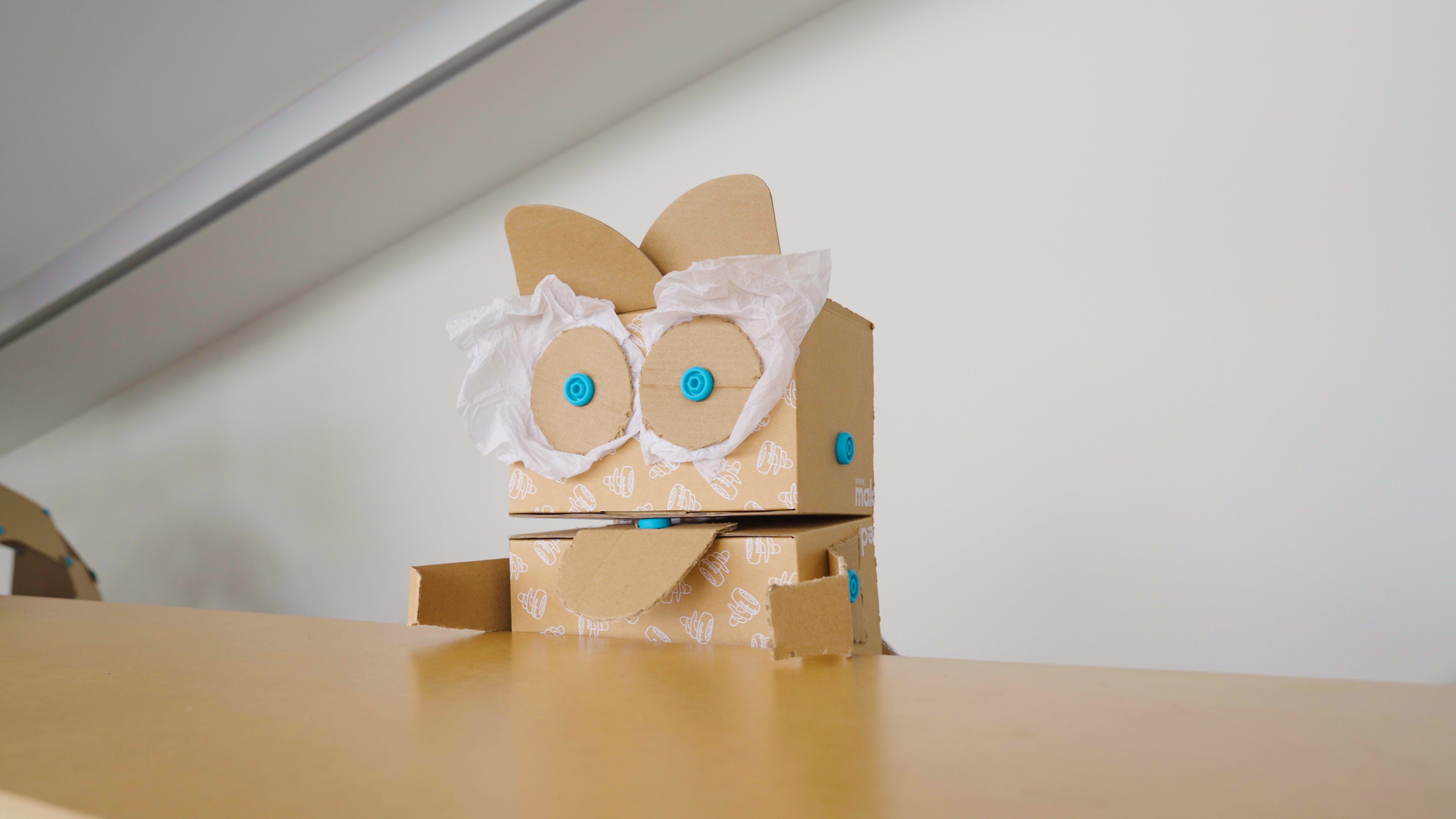 How to Make a Cardboard Puppet